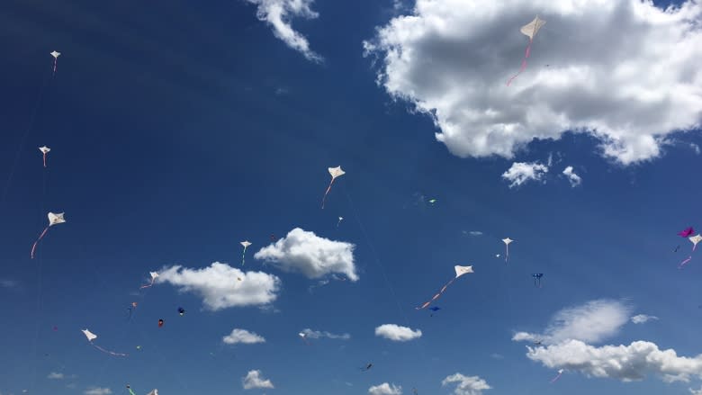 Go fly a kite: International kite lovers gather in Swift Current