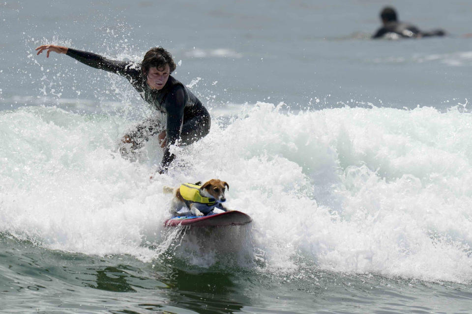 Mauro Canella and his dog Efruz ride surf in San Bartolo, Peru, Thursday, Jan. 25, 2024. (AP Photo/Martin Mejia)