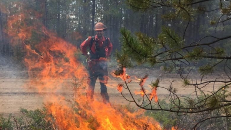 Cooler temperatures help with mop up of Okanagan Lake fires