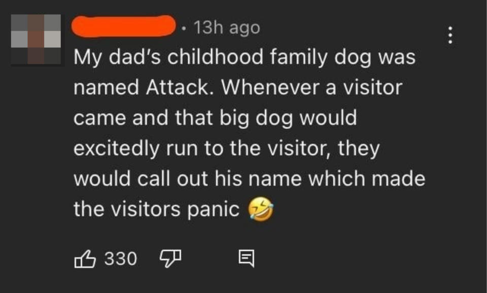 dad's childhood dog was named attack