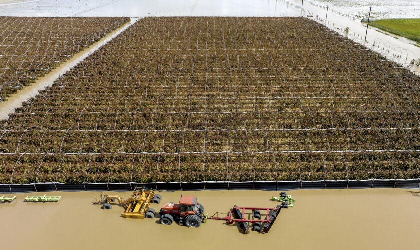 Floodwaters surround farm machinery in the community of Pajaro in Monterey County, Calif., on Monday, March 13, 2023. (AP Photo/Noah Berger)
