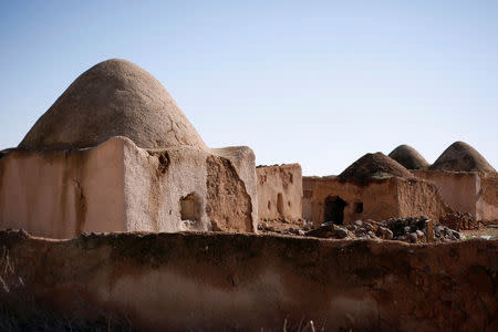 Domed mud houses are pictured in the abandoned village of Rasm al-Nafl, southeast of Aleppo, Syria January 29, 2017. REUTERS/Omar Sanadiki