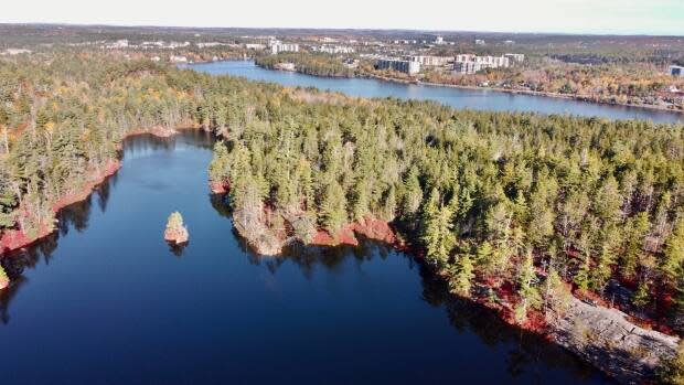 Blue Mountain-Birch Cove Lakes Wilderness Area in Halifax is being extended as part of Thursday's announcement.