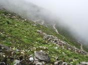 View from a hill when traveling through the Valley of Flowers near Hemkund Sahib in Uttarakhand, India.<br><br>Mithun Basak is a engineer by profession and a traveler-photographer by passion. His interests include landscapes, nature, wildlife and architecture. Enjoy more of his work at <a href="http://www.beautyaroundme.com/" rel="nofollow noopener" target="_blank" data-ylk="slk:his website;elm:context_link;itc:0;sec:content-canvas" class="link ">his website</a>