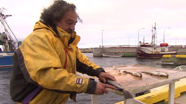 Push and pull, as fishermen debate proposed tourist fishery