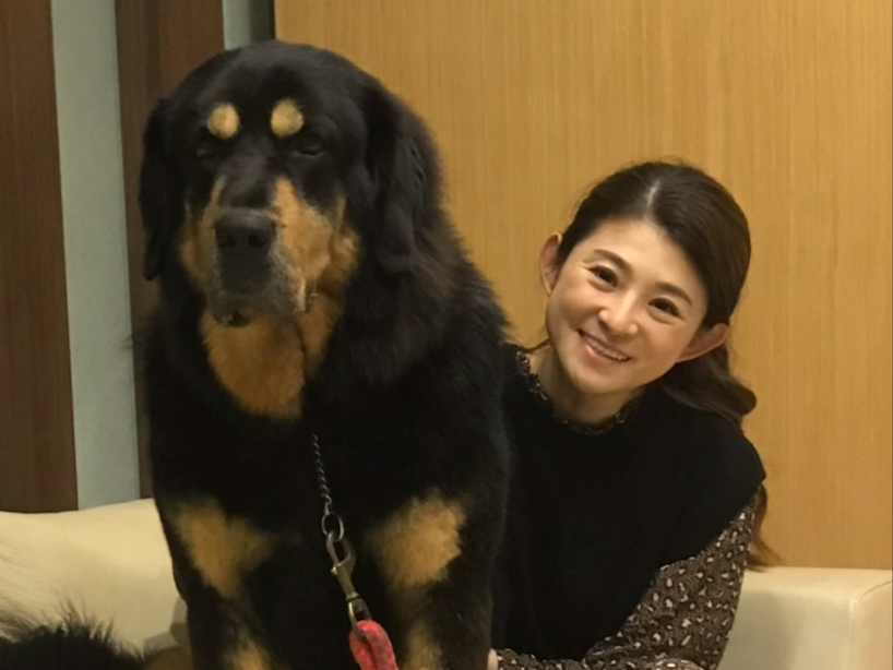 蘇宗怡養了一隻獒犬。（圖／TVBS）