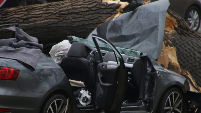 Driver dies after slamming into tree next to Memorial Drive