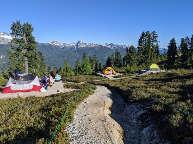 Campers are pictured at Garibaldi Provincial Park on Aug. 15. The reservation system for provincial parks in B.C. opened Monday, crashing quickly due to high volume. (Shutterstock / CDeWeger - image credit)