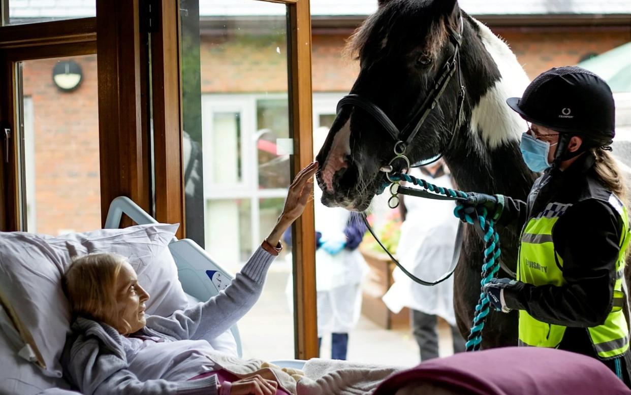 Terminally-ill Jan Holman, 68, saying her final goodbye to her horse, Bob - HospiceoftheGoodShepherd/SWNS