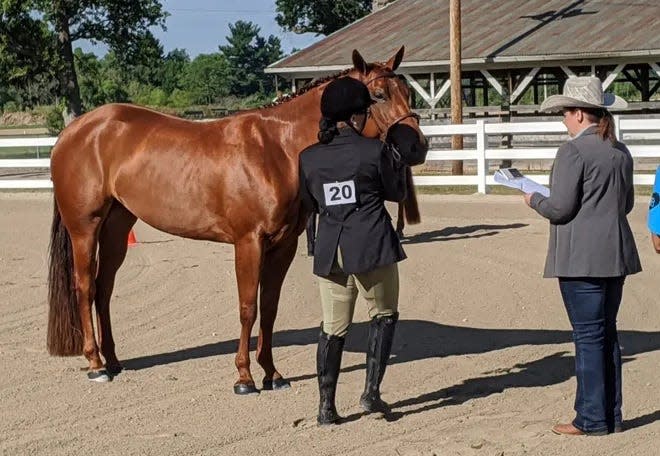 The Ottawa County Fair kicks off Monday, as the fair celebrates its 58th year with a full schedule next week of 4-H activities, animal judging, demolition derby and evening grandstand entertainment.