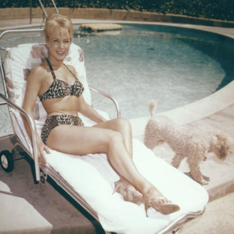 Barbara Eden in a leopard print bikini reclining on a poolside lounge chair with a poodle standing nearby