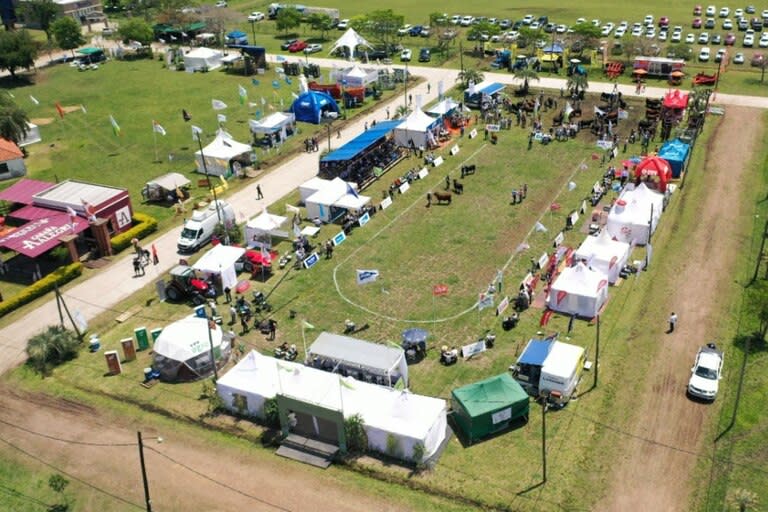 Durante cuatro días se realizará la 20° Exposición Nacional Braford y la 11° Exposición Nacional del Ternero Braford; la 21° Exposición Nacional Brahman y la 2° Exposición Regional de Dorper y White Dorper