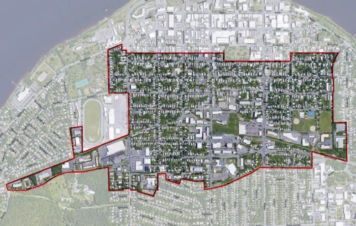 The new south-core secondary municipal plan will be used to guide how the south-side residential core neighbourhoods in Fredericton develop and grow over the next few decades. (City of Fredericton - image credit)