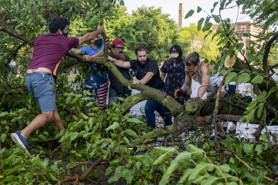 Neighbors use a hand saw to clear a tree blocking Kedzie Avenue in the Logan Square neighborhood of Chicago on Monday, Aug. 10, 2020, after a strong storm passed through the city. (Brian Cassella/Chicago Tribune via AP)