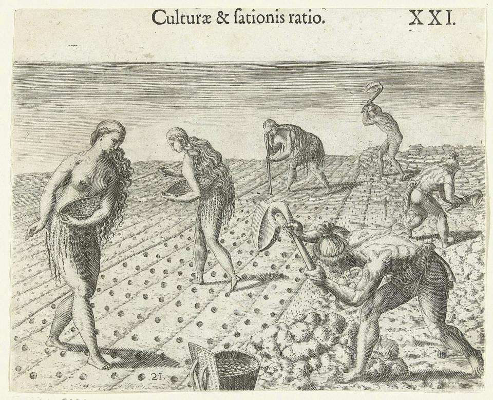 Grabado de Theodor de Bry que retrata la agricultura entre los nativos americanos.