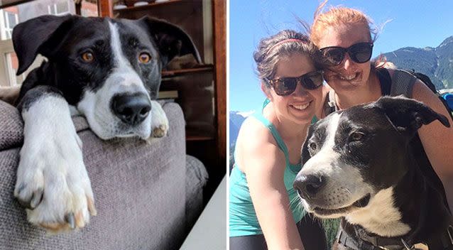 Kelsey Burke (left) and Michelle Morrissey (right) are devastated over the death of Bandit the dog. Source: Facebook