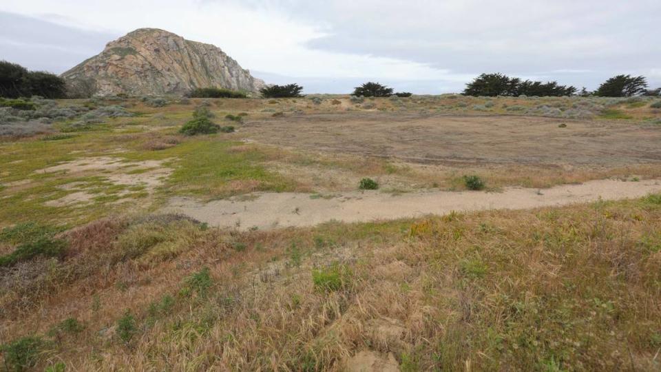 Texas-based energy company Vistra Corp. applied to build a battery storage facility on a 24-acre parcel that used to be an oil tank farm, shown here on April 24, 2024.