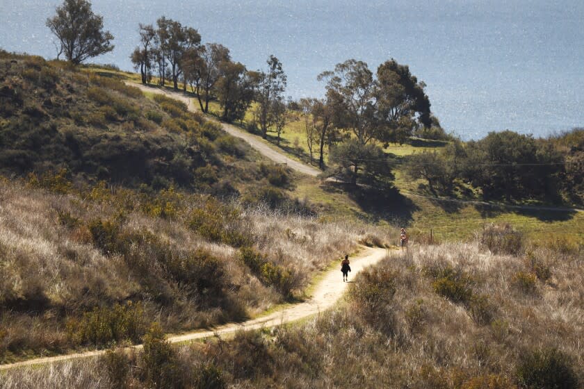 MALIBU, CA - FEBRUARY 18: Upper portions of the Rising Sun Trail afford elevated ocean views in Solstice Canyon park located within the Santa Monica Mountains National Recreation Area in Malibu off Corral Canyon Road near Pacific Coast Highway. There is a picturesque, mostly level and shaded canyon hike. Another feature is the Solstice Canyon Loop is a 3.2 mile loop which climbs the hills affording beautiful views of the ocean at the top. The trail rated as moderate is used for hiking, running, and nature trips and is accessible year-round. The Solstice Canyon Trail is a popular, well-maintained route with some spur-trail opportunities for more adventurous travelers. Solstice Canyon on Thursday, Feb. 18, 2021 in Malibu, CA. (Al Seib / Los Angeles Times).