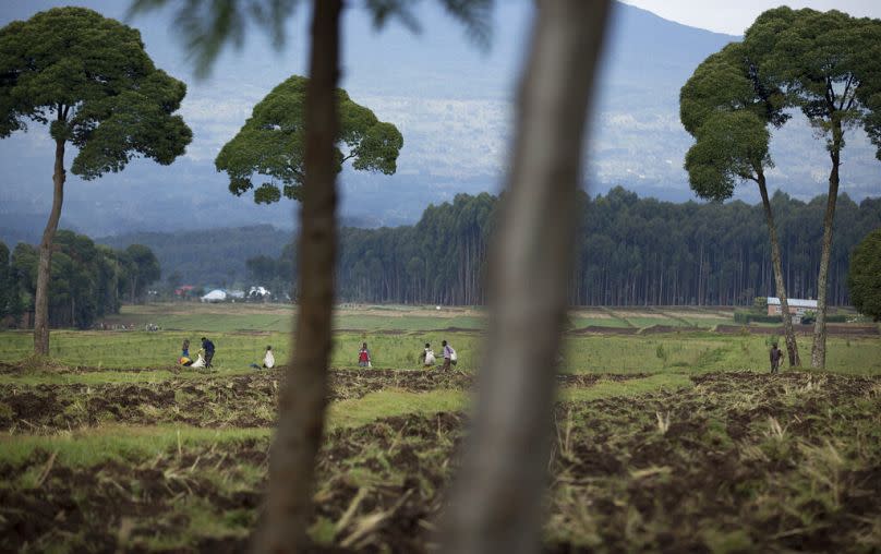 Local farmers work on the land just outside Volcano National Park, northern Rwanda, September 2014