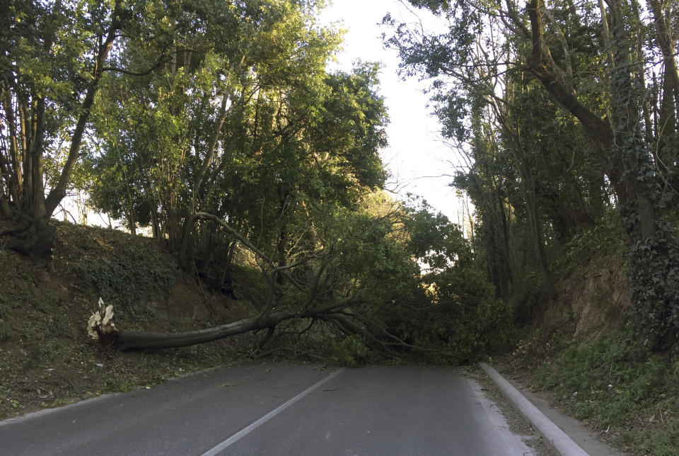 A fallen tree blocks the road along the Via Ardeatina, in Rome, Saturday, Feb. 23, 2019. Winds gusting to 50 kilometers (32 miles) per hour have toppled trees and walls in Italy, causing at least 3 deaths. Italian news agency ANSA said Saturday winds knocked down a brick wall on farmland near Frosinone, central Italy, killing two men in their 70s. (AP Photo/Fabio Polimeni)