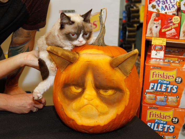 grumpy cat pumpkin