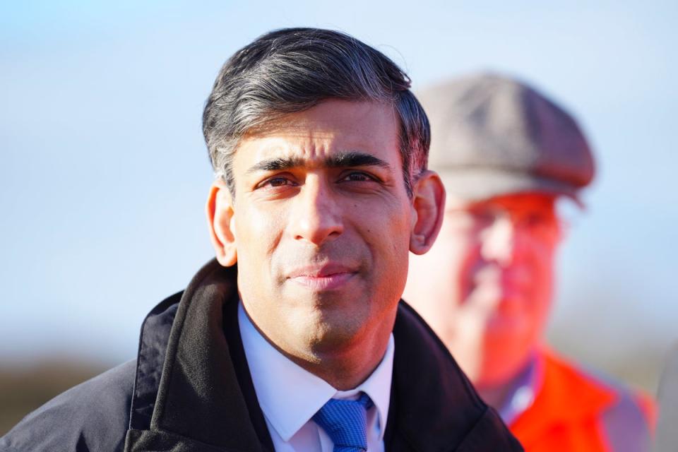 Rishi Sunak has condemned the comments made by Lee Anderson, the former deputy party chairman (Jon Super/PA Wire)