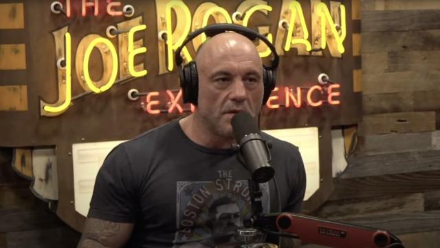 Donald Trump Shakes Hands With Joe Rogan at UFC Fight