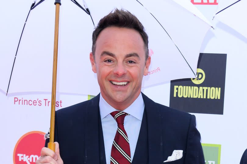 Ant McPartlin attends The Prince's Trust and TKMaxx & Homesense Awards 2024