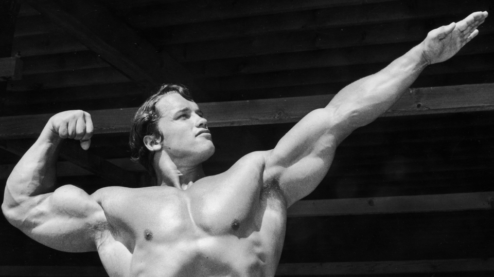  Arnold Schwarzenegger during his hey day. 