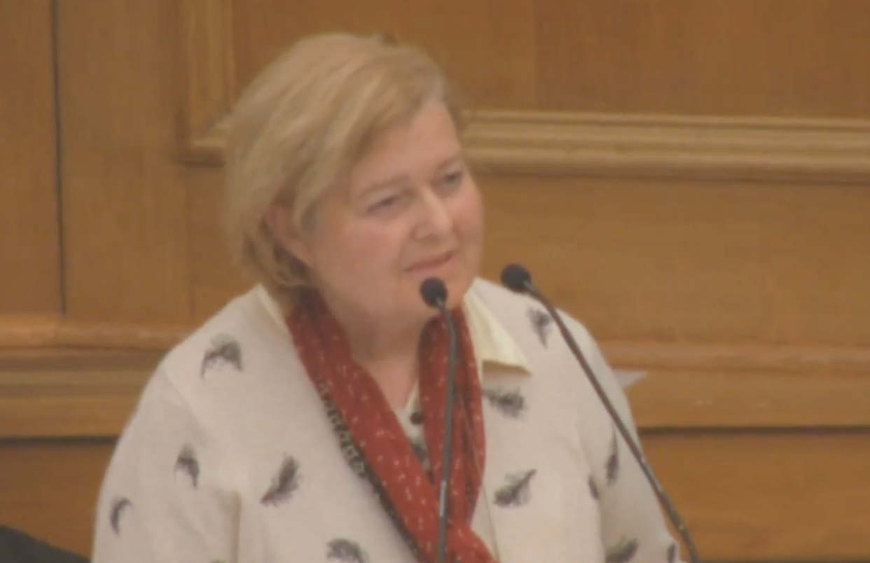 Mary Durlacher raises coronavirus concerns at the General Synod meeting (Church of England/YouTube)