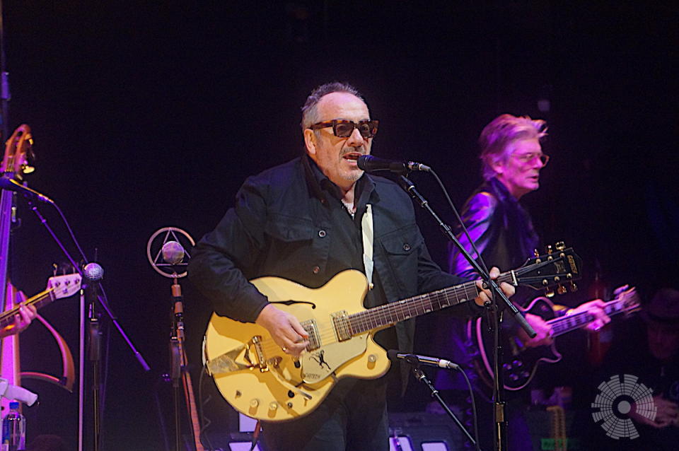 Elvis Costello 9