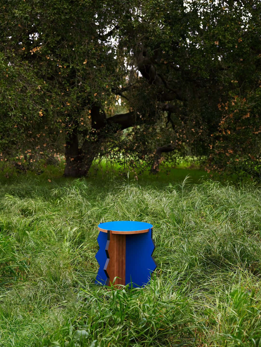 a blue stool in a grassy area