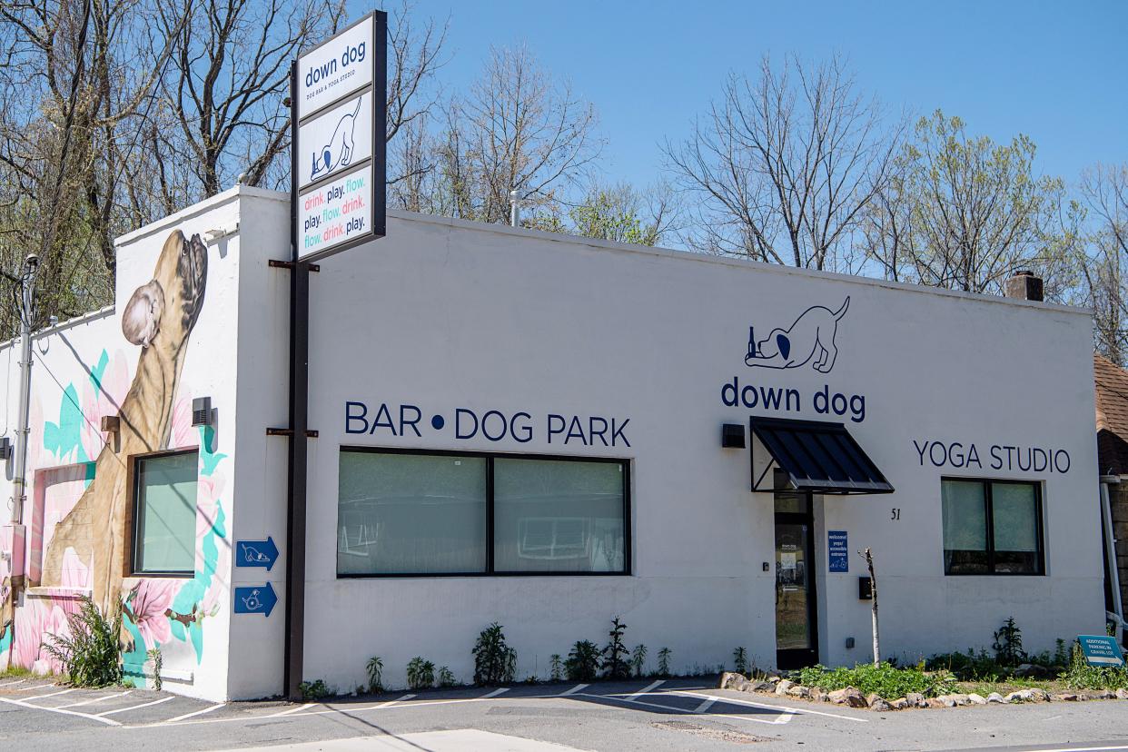 Down Dog yoga studio, dog bar is expected to close this spring.