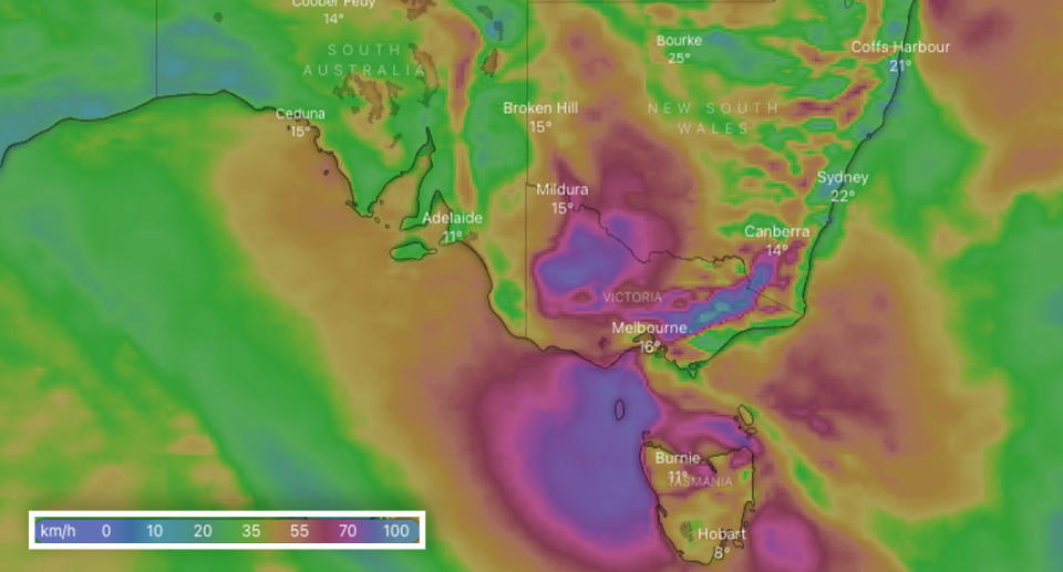 Strong wind gusts are expected in Victoria on Thursday through to Friday. Pictures is predicted wind speeds at 5am Friday. Source: Windy.com