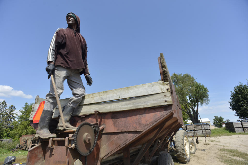 NEW HAMBURG, ON- AUGUST 28: Durrell McLean of Jamaica has been working at Pfenning's farm since 2005. Pfenning's Organic Farms in New Hamburg, Ontario, employs Canadians and Jamaican migrant farm workers to work its fields and packing warehouse. The owners would like to see its Jamaican workers afforded better pathways to becoming permanent residents and have open work permits that give workers the ability to easily change employers. Jim Rankin/Toronto Star (Jim Rankin/Toronto Star via Getty Images)