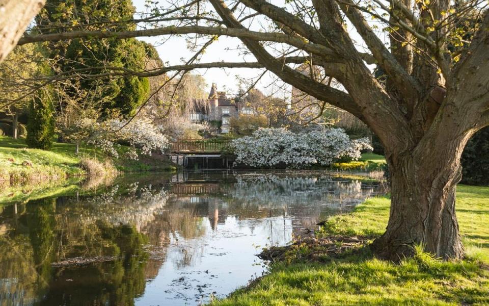 Little Malvern Court trees white blossom Prunus 'Shirotae' best garden's ponds visit summer - Carole Drake