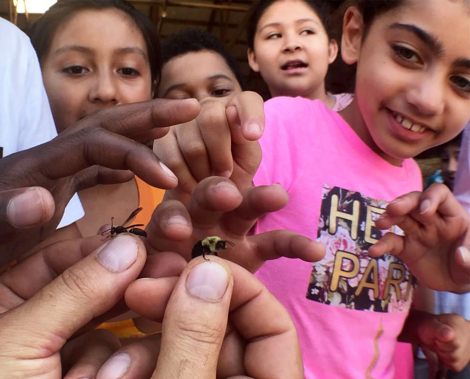 Kids got the chance to pet a bee at the 2018 Franklin Fall Farm Fun Fest, which was held at Musser Farm.