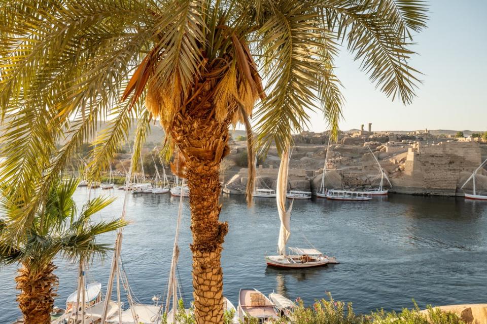 Feluccas on the Nile (Getty Images/iStockphoto)