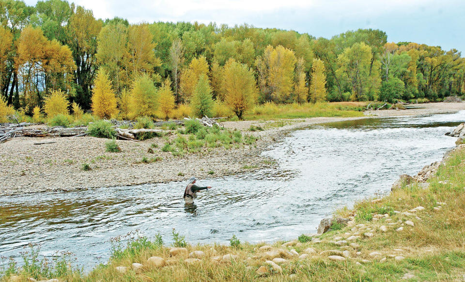 FILE - In this Sept. 14, 2009 file photo, an angler fishes the Encampment River for trout near Saratoga, Wyo. Anglers revere the North Platte as a blue-ribbon trout stream, but a fishing license runs $14 a day for non-Wyoming residents. Leave the river fish to nap in their chilly holes and go check out the hundreds of lake, brown and rainbow trout kept for breeding at the 102-year-old Saratoga National Fish Hatchery. The hatchery helps restore native trout populations from coast to coast, including lake trout to the Great Lakes. (AP Photo/Laramie Boomerang, Eve Newman, File)