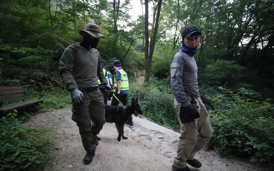 Police have drafted in the help of a sniffer dog as they comb a mountain in Seoul - YONHAP/EPA-EFE/Shutterstock/Shutterstock