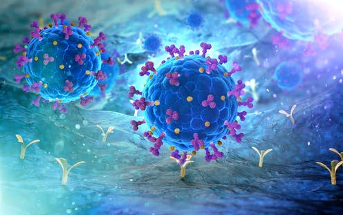   <span class="attribution"><a class="link " href="https://www.shutterstock.com/image-illustration/sarscov2-viruses-binding-ace2-receptors-on-1969975771" rel="nofollow noopener" target="_blank" data-ylk="slk:Andrii Vodolazhskyi/Shutterstock;elm:context_link;itc:0;sec:content-canvas">Andrii Vodolazhskyi/Shutterstock</a></span>