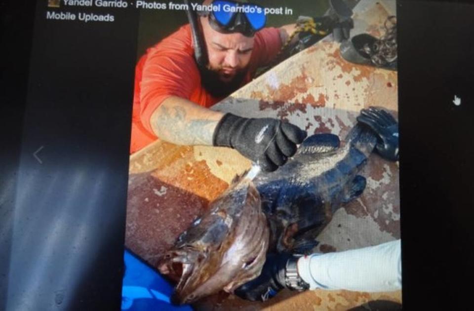 State fish and wildlife police arrested a man they said killed a federally protected Goliath grouper while on vacation in the Florida Keys in August 2020. In this screenshot, the man is seen with a Goliath grouper, according to the Florida Fish and Wildlife Conservation Commission.