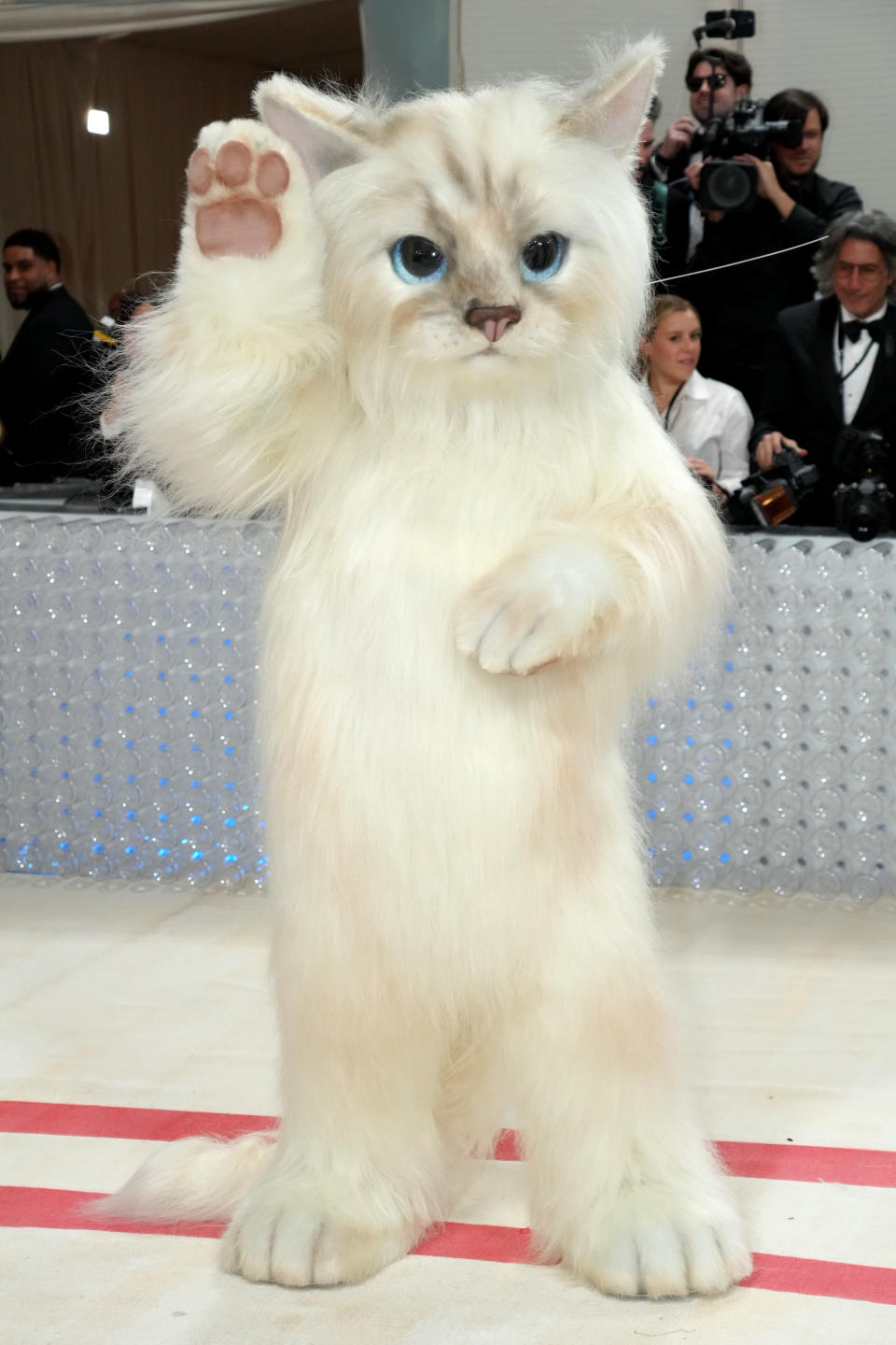 Person in a costume resembling the character Mr. Mistoffelees from the musical "Cats" standing on a red carpet