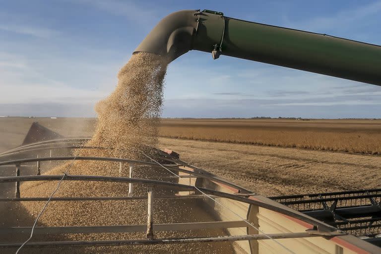 ARGENTINA, Las Acequias: Cosecha de soja en Las Acequias, Cordoba, el 3 de \May\ de 2019. LA NACION / Diego L