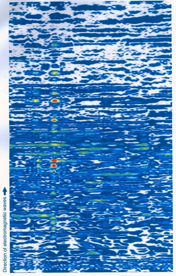 Researchers believe that this radar scan of the west wall of King Tut's tomb indicates the presence of a chamber and what may be an organic substance.