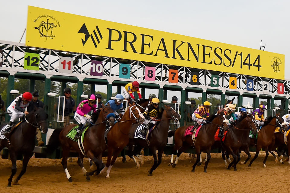 After shaking jockey John Velazquez right out of the gate, Bodexpress finished the Preakness Stakes on Saturday solo.