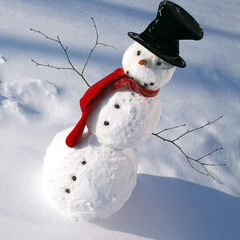 Nuxn 13-Piece Snowman Decorating Kit