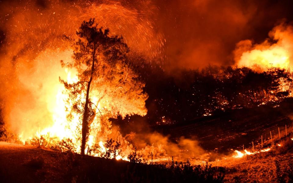 Smoke and flames rise after a forest fire broke out