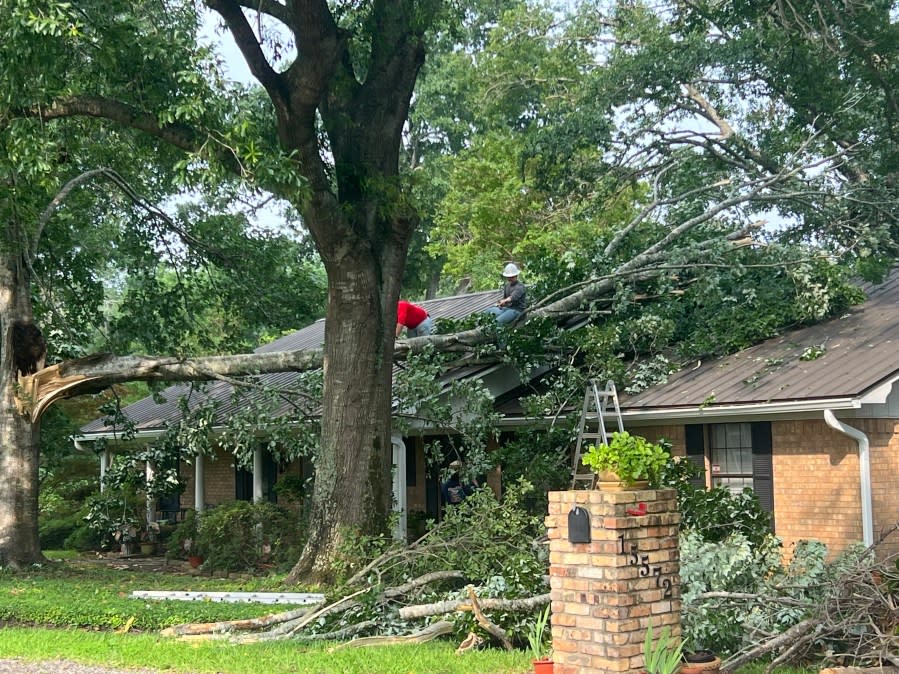 Storm damage in Henderson County