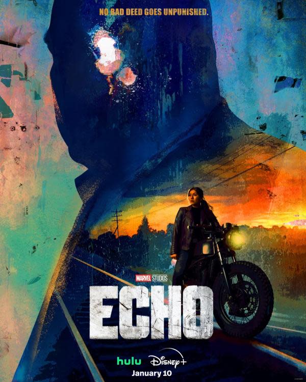 Póster de Echo (Imagen: Reddit)